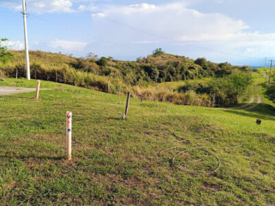 Lote # 42 - Parcelación Albores Lomas del Albergue