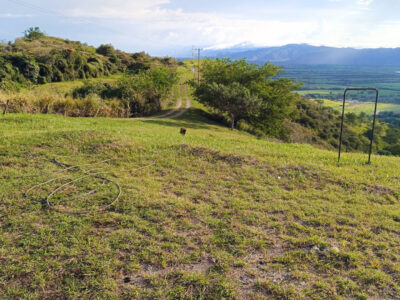 Lote # 42 - Parcelación Albores Lomas del Albergue