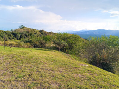 Lote # 42 - Parcelación Albores Lomas del Albergue
