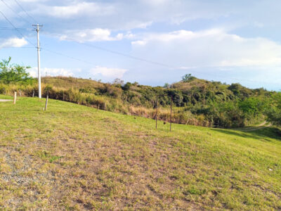 Lote # 42 - Parcelación Albores Lomas del Albergue
