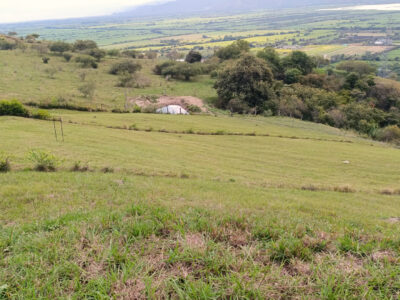 Lote # 45 - Parcelación Albores Lomas del Albergue