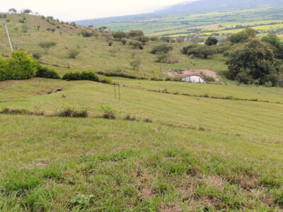 Lote # 45 - Parcelación Albores Lomas del Albergue